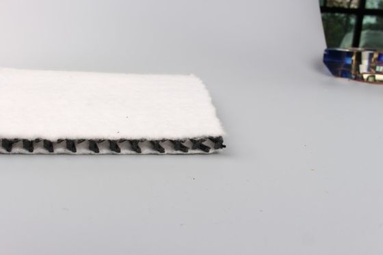 Mükemmel UV Direnci Hidrolojik Mühendislik'te Eğitimi Korumak için Geonet