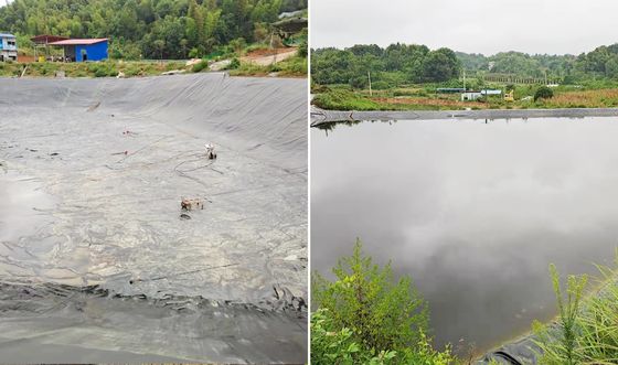 Yüksek Performanslı HDPE Düz Geomembranı, Kırılma sırasında %700'lük uzatma, Mükemmel Kimyasal Direnci ve Akvakültür için özelleştirilebilir Genişlik