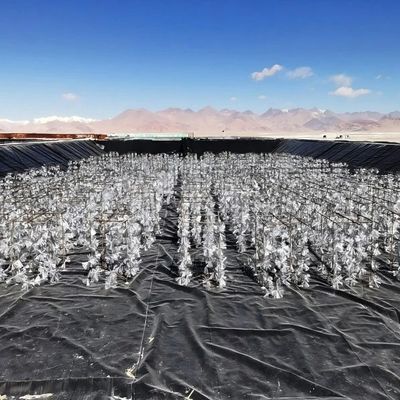 Asit ve alkaliye dayanıklı, yırtıcı dayanıklı HDPE, sızıntılara karşı mühendislik projesi için pürüzsüz jeomembran