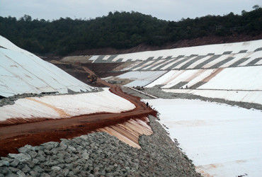 Üç boyutlu bileşik Geonet 200g/m2 Çözem ve Koruma Sistemi için